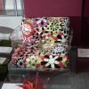 Kartell Pop 2 seater missoni nieuw 2400
